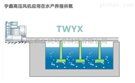 鱼塘曝气旋涡气泵